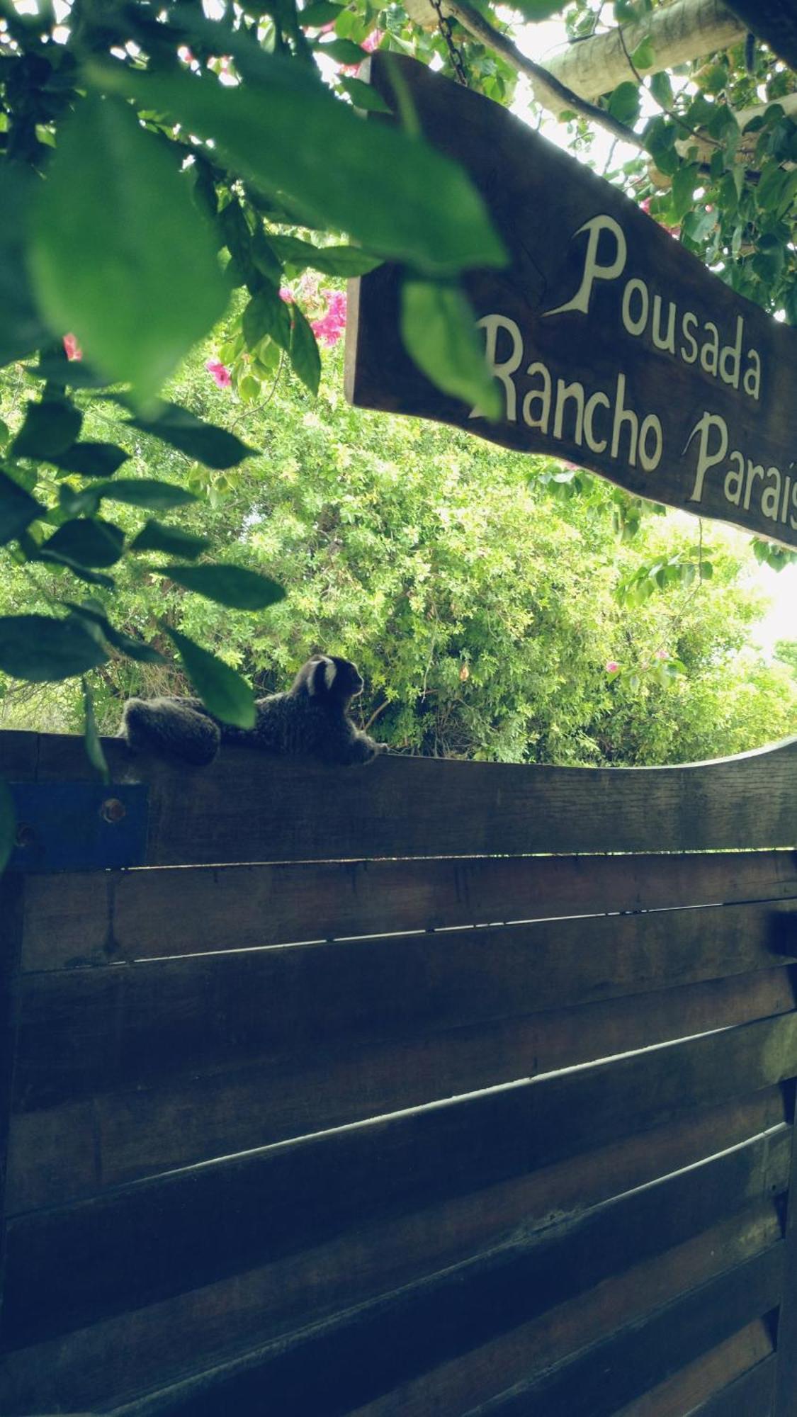 Pousada Rancho Paraiso Pôrto de Pedras Extérieur photo